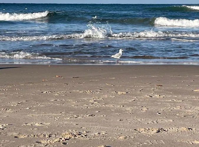 Apartament Marina * دجيفنوفيك